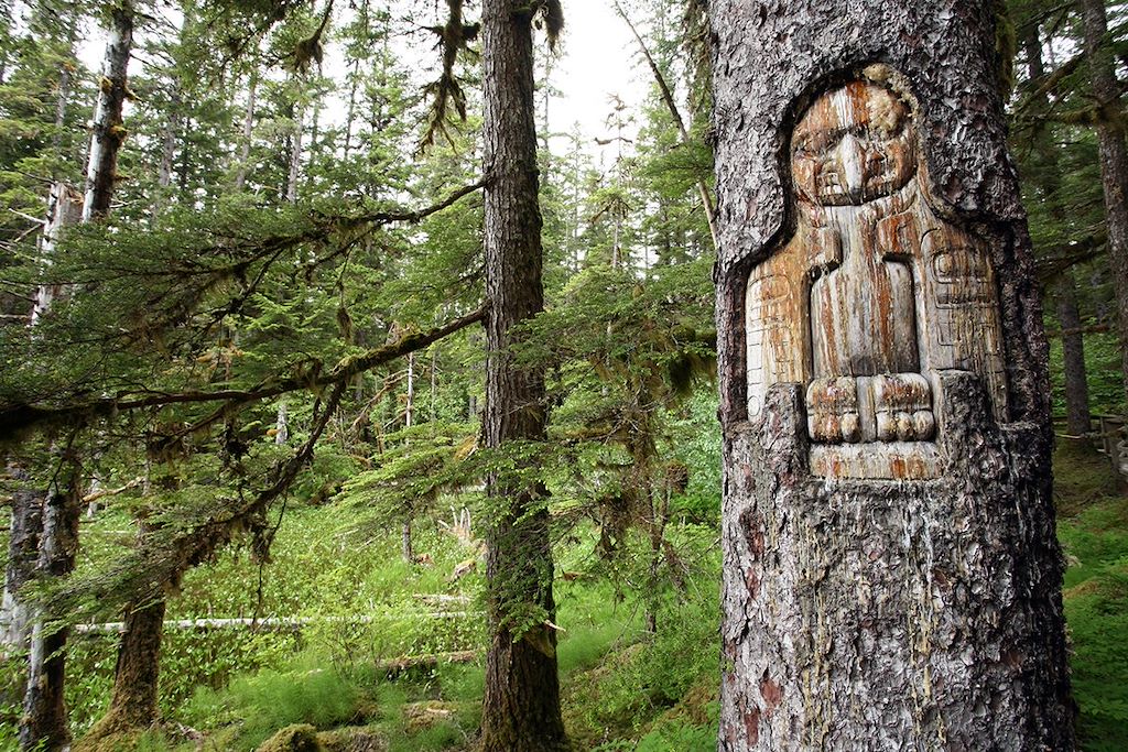 Image Voyage Alaska - Denali National Park