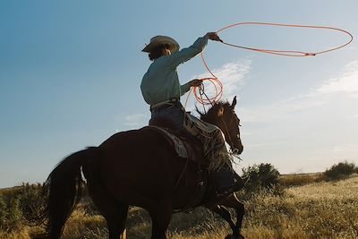 Cow-boy - Etats-Unis