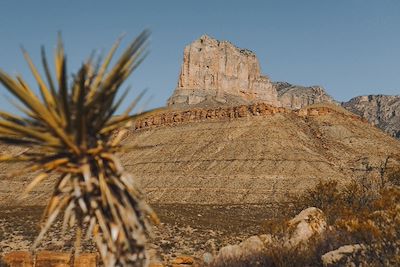 Guadalupe Mountains National Park - Texas - Etats-Unis