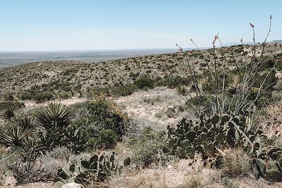 Carlsbad Caverns National Park - Parc nationnal de Guadalupe - Nouveau-Mexique - Etats-Unis