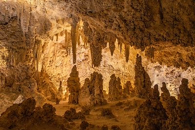Carlsbad Caverns National Park - Nouveau Mexique - Etats-Unis