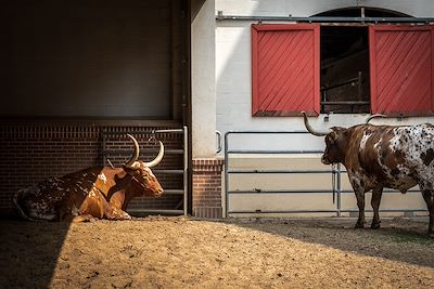 Fort Worth - Texas - Etats-Unis