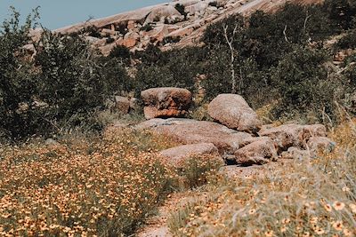 Enchanted Rock State Natural Area  - Texas - Etats-Unis
