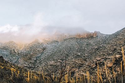 Parc national des Guadalupe Mountains - Etats-Unis