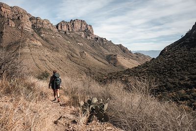 Juniper Canyon Trail - Pic Casa Grande - Etats-Unis