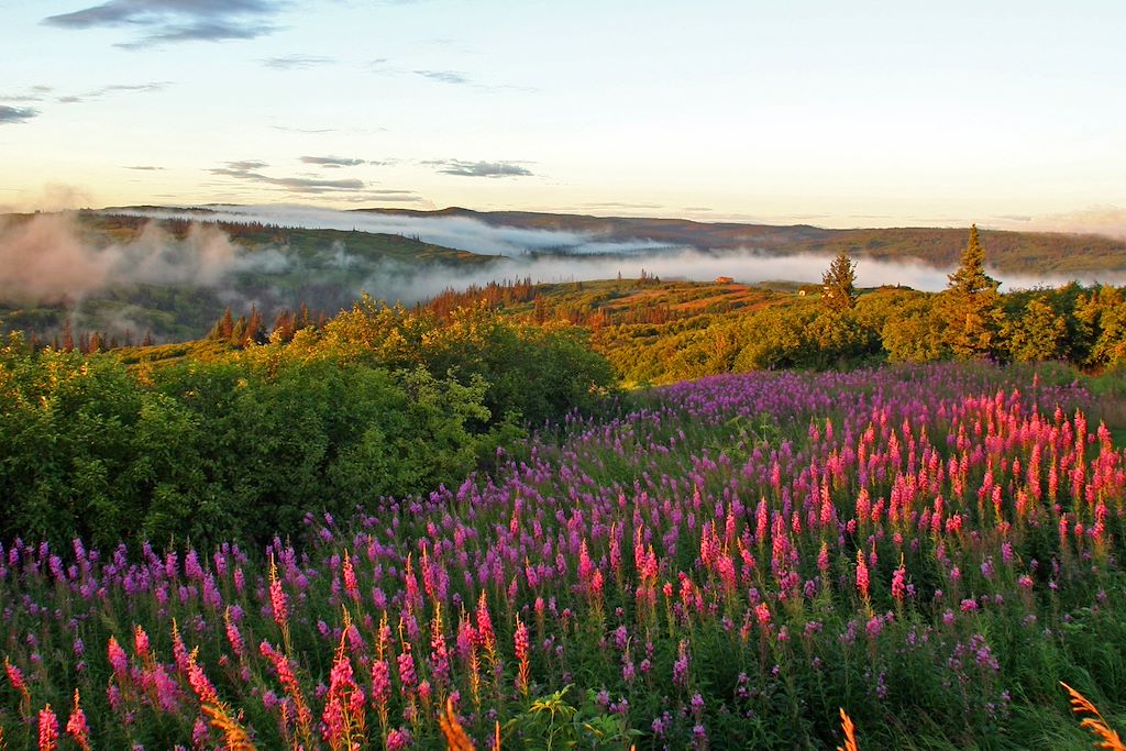 Image Trek Alaska - Trek Denali - Croisière et kayak Kenai fjords - Trek Wrangell St Elias