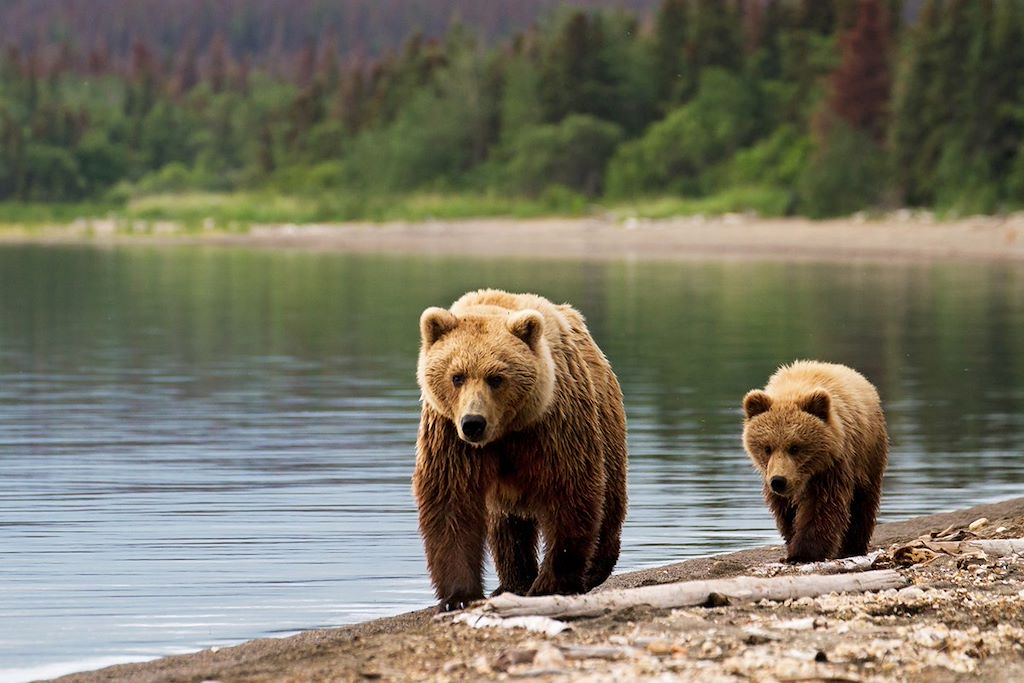 Image Trek Alaska - Trek Denali - Croisière et kayak Kenai fjords - Trek Wrangell St Elias
