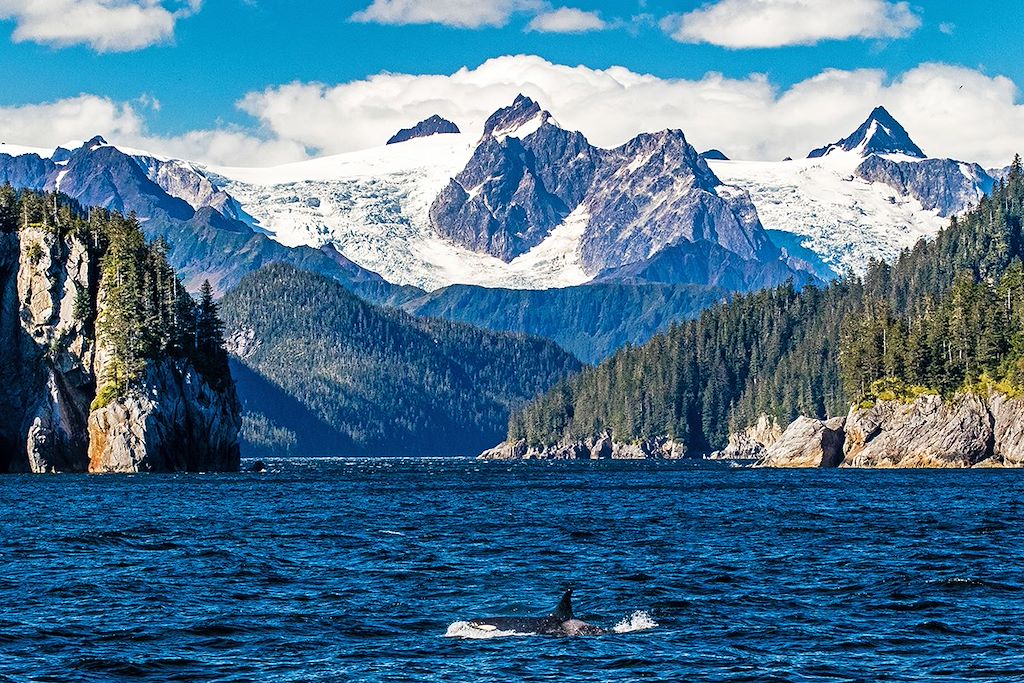 Image Trek Alaska - Trek Denali - Croisière et kayak Kenai fjords - Trek Wrangell St Elias