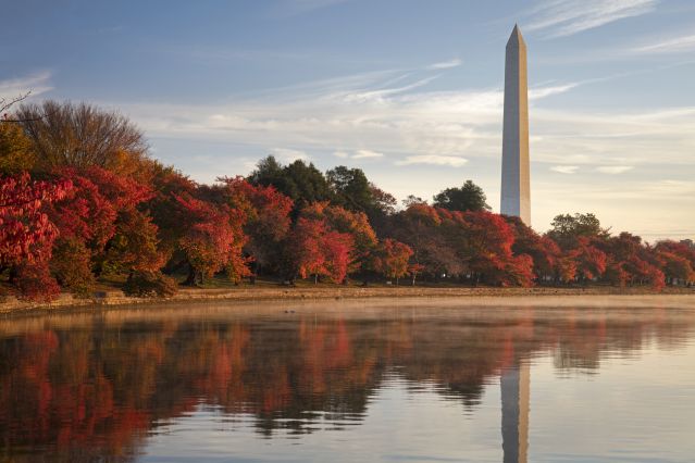 Voyage Washington DC aux couleurs d'automne