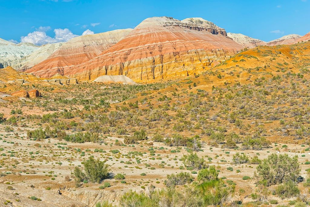 Voyage Du canyon de Charyn aux coupoles de Samarcande 2