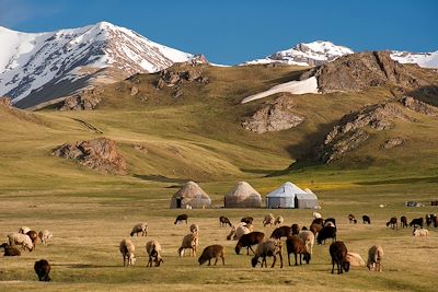 Sentiers nomades et coupoles turquoise