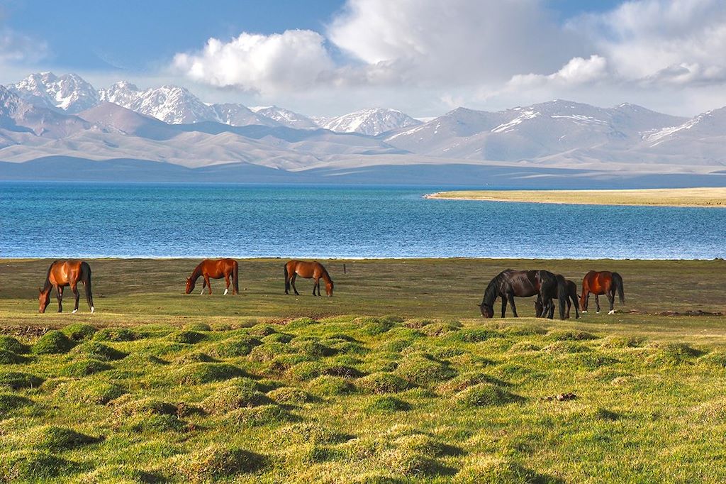 Image Randonnée Song Kul - Découverte Boukhara Et Samarcande - Trek Monts Fanskye