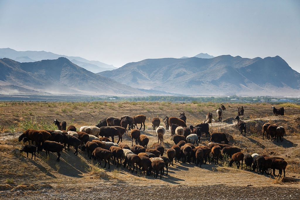 Image Vélo route de la Soie - Visite Samarcande Et Boukhara - lac Aydarkul