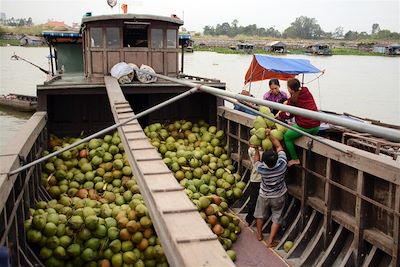 Vendeur de noix de coco  - Marché flottant - Delta du Mékong - Vietnam