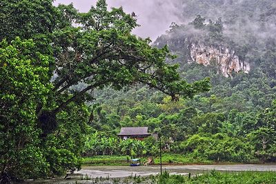 Lac de Ba Be - Vietnam