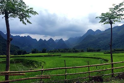 Village de Nam Ngu - Hanoi - Vietnam