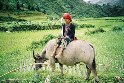 Sapa - Vietnam