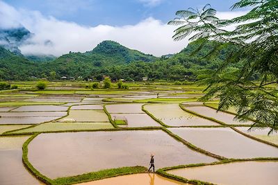 © BRUSINI Aurélien / hemis.fr - Vallée de Mai Châu - Vietnam Vallée de Mai Châu - Vietnam