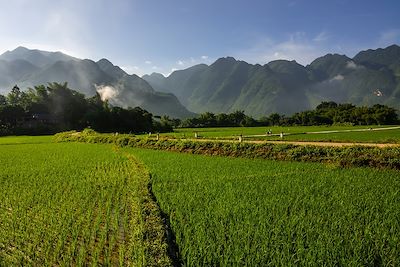 © Jeroen Mikkers / Getty Images - Champs de riz de la vallée de Mai Chau au Vietnam Champs de riz de la vallée de Mai Chau au Vietnam