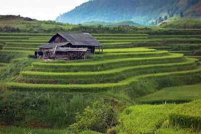 Voyage Hanoi et la Baie d'Halong