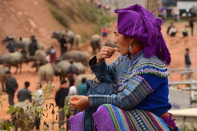 Ethnie Hmong Fleurs - Marché au village de Coc Ly - Vietnam