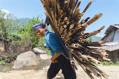 © François Vannière - Transport insolite - Vietnam Transport insolite - Vietnam