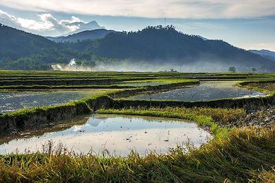 © Denis Chambon - Nghia Lo - Vietnam Nghia Lo - Vietnam