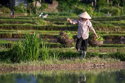 © Denis Chambon - Nghia Lo - Vietnam Nghia Lo - Vietnam