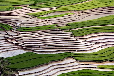 © Denis Chambon - Mu Cang Chai - Vietnam Mu Cang Chai - Vietnam