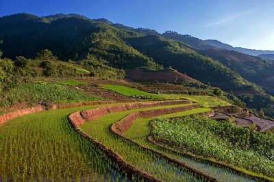 © Denis Chambon - Mu Cang Chai - Vietnam Mu Cang Chai - Vietnam