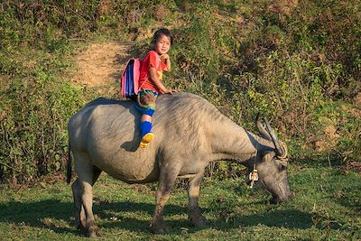 © Denis Chambon - Mu Cang Chai - Vietnam Mu Cang Chai - Vietnam