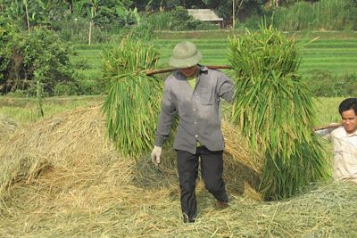 © Caroline Hauzeur - Nord du Vietnam Nord du Vietnam
