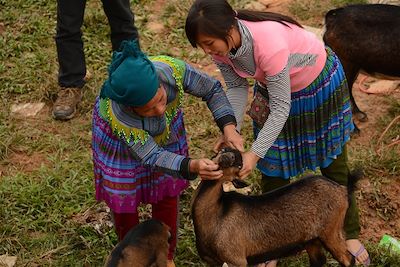 © Denis Chambon - Ethnie Hmong Fleurs - Marché au village de Coc Ly - Vietnam Ethnie Hmong Fleurs - Marché au village de Coc Ly - Vietnam