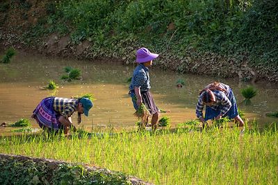 © Denis Chambon - Bac Ha - Vietnam Bac Ha - Vietnam