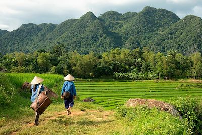 Voyage Montagnes du Tonkin