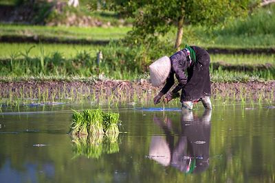 © Denis Chambon - Nghia Lo - Vietnam Nghia Lo - Vietnam