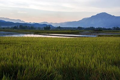 Nghia Lo - Vietnam