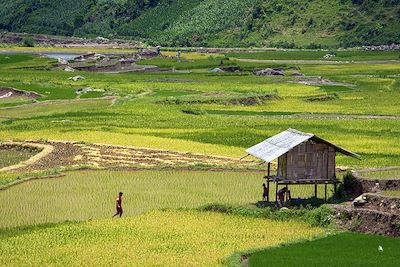 © Denis Chambon - Mu Cang Chai - Vietnam Mu Cang Chai - Vietnam