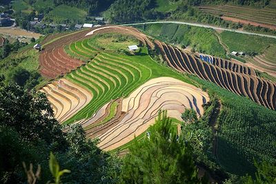 © Denis Chambon - Mu Cang Chai - Vietnam Mu Cang Chai - Vietnam