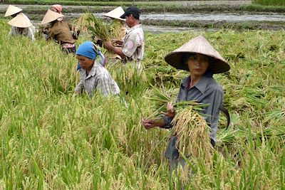© Béatrice Soulas - Mai Chau - Vietnam Mai Chau - Vietnam