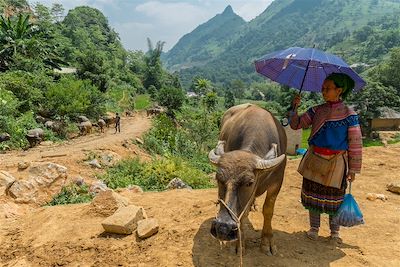 © François Vannière - Marché aux boeufs - Région de Bac Ha - Vietnam Marché aux boeufs - Région de Bac Ha - Vietnam