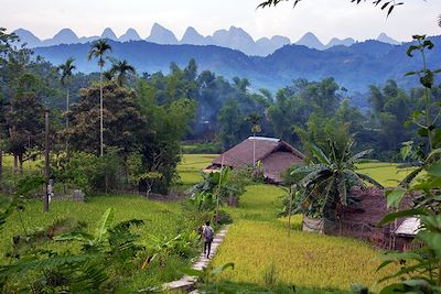 Ha Thanh - Ha Giang - Vietnam