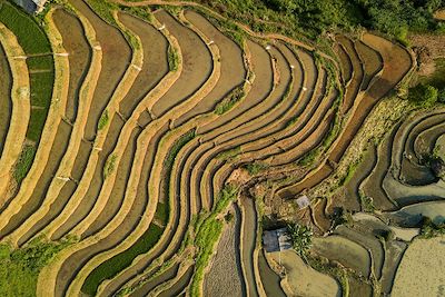 Rizière Ha Giang - Vietnam 