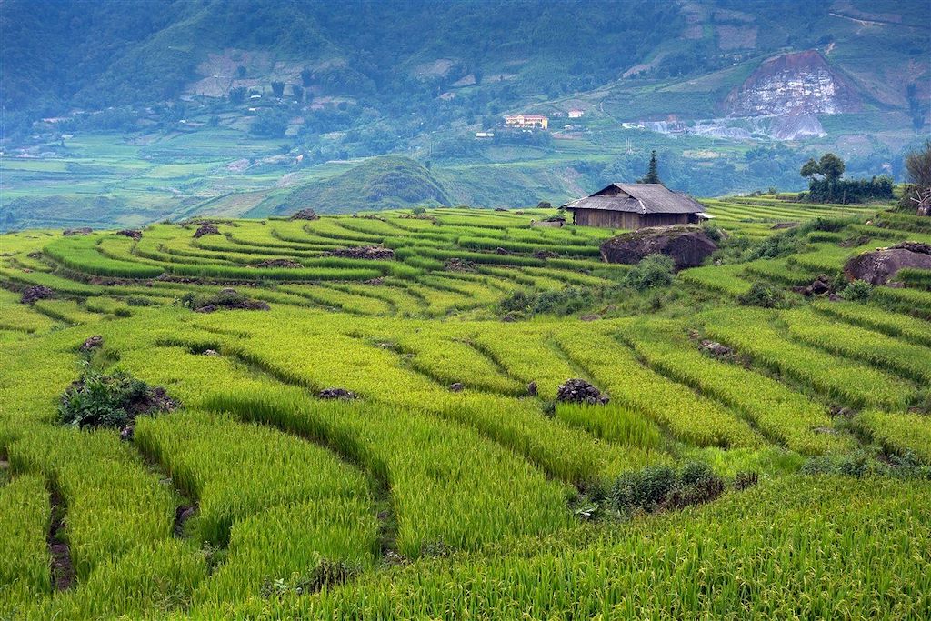 Ethnies, rizières et baie d'Halong