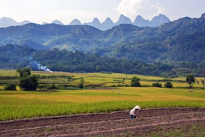 Ha Thanh - Ha Giang - Vietnam