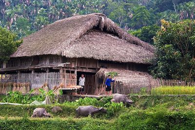 Ha Thanh - Ha Giang - Vietnam