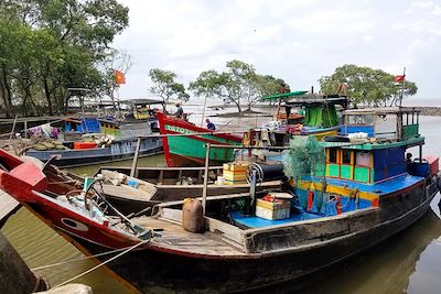 Bateaux - Delta du Mékong - Vietnam
