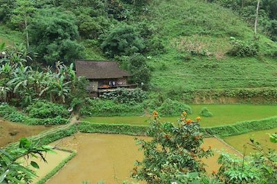 Le massif de Coc Xa - Vietnam