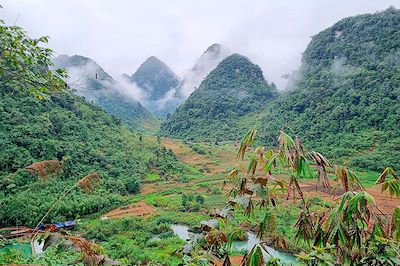 Thong Nong - Vietnam