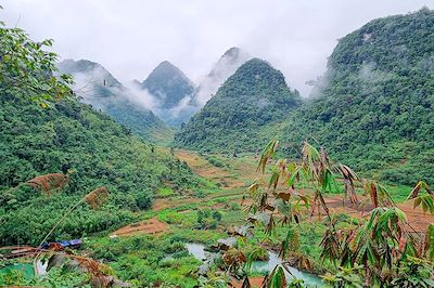 © Alain Guiot - Thong Nong - Vietnam Thong Nong - Vietnam